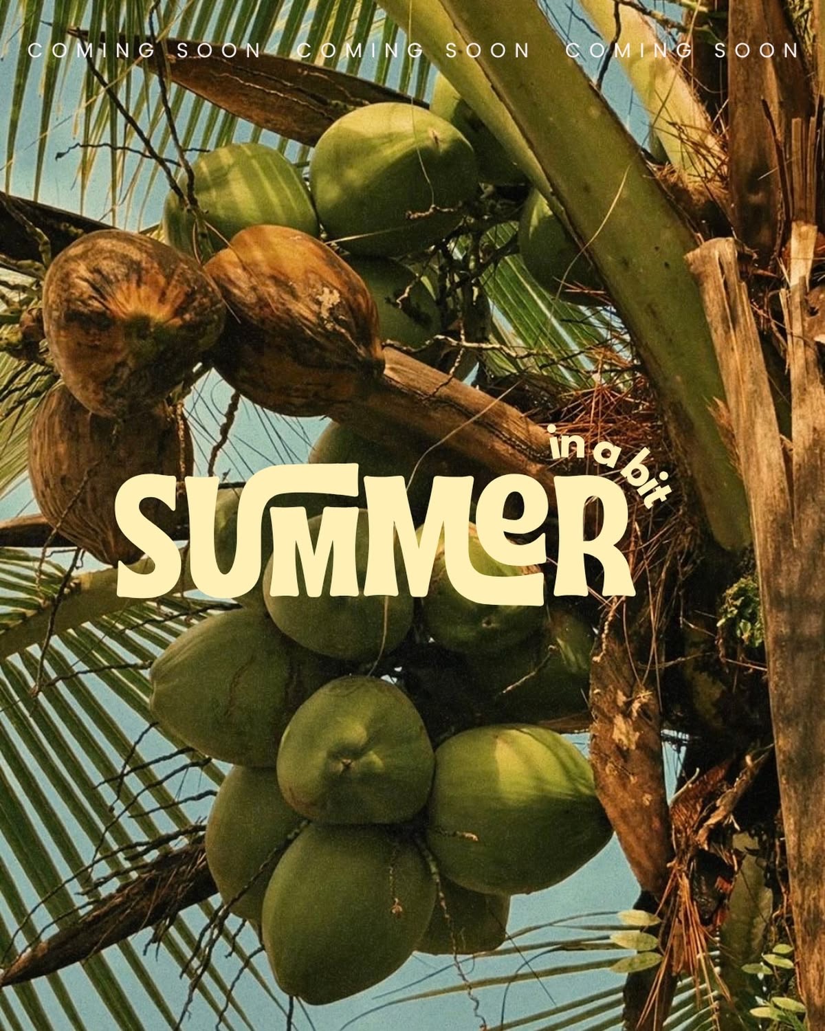 Summer exp 2